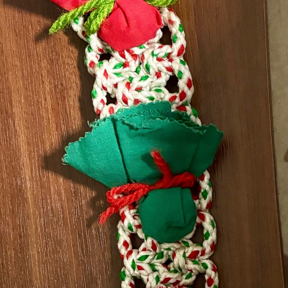 Crocheted Door Hanger (I think)